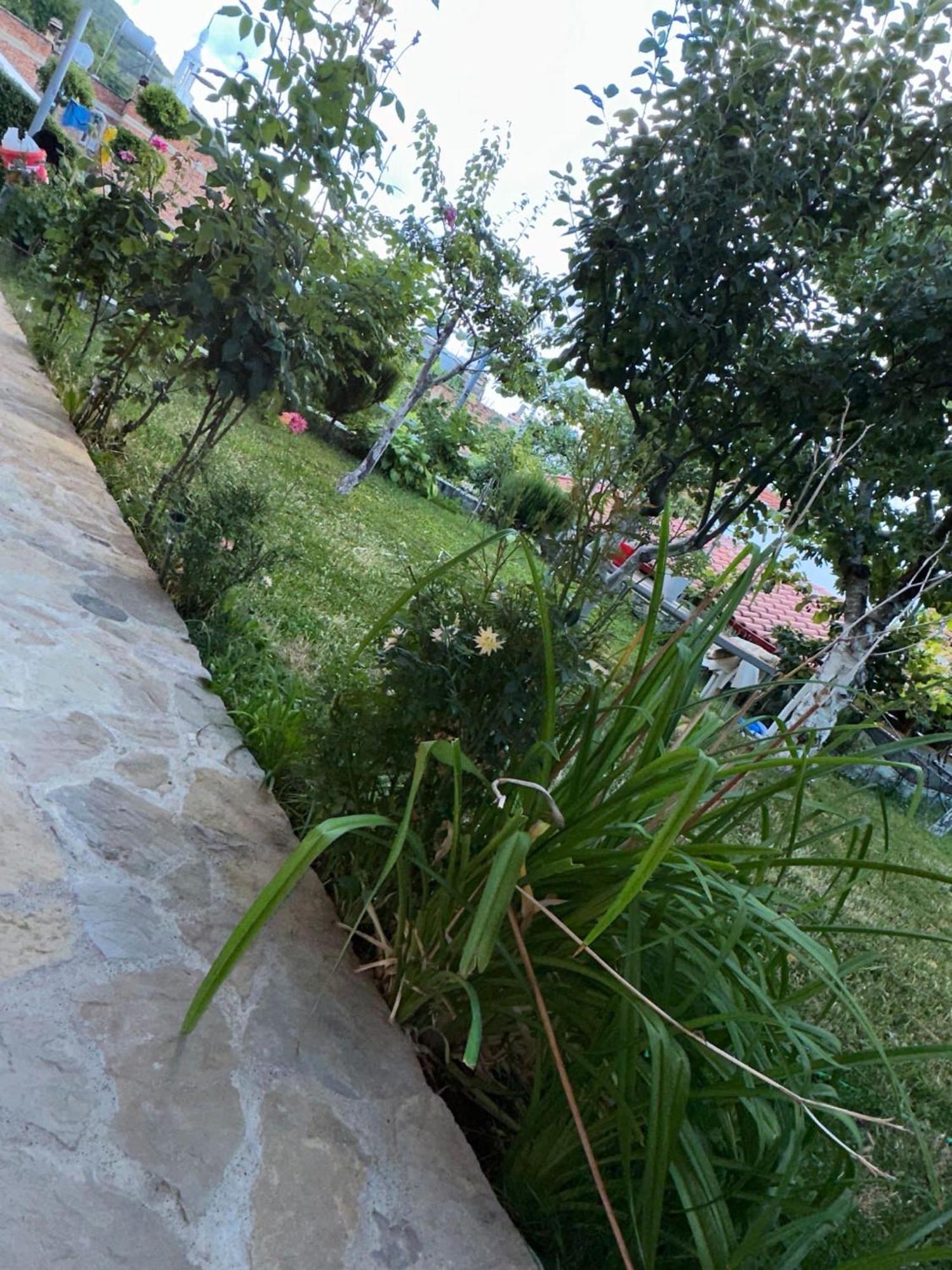 فيلا Gardenhouse Memlishte المظهر الخارجي الصورة