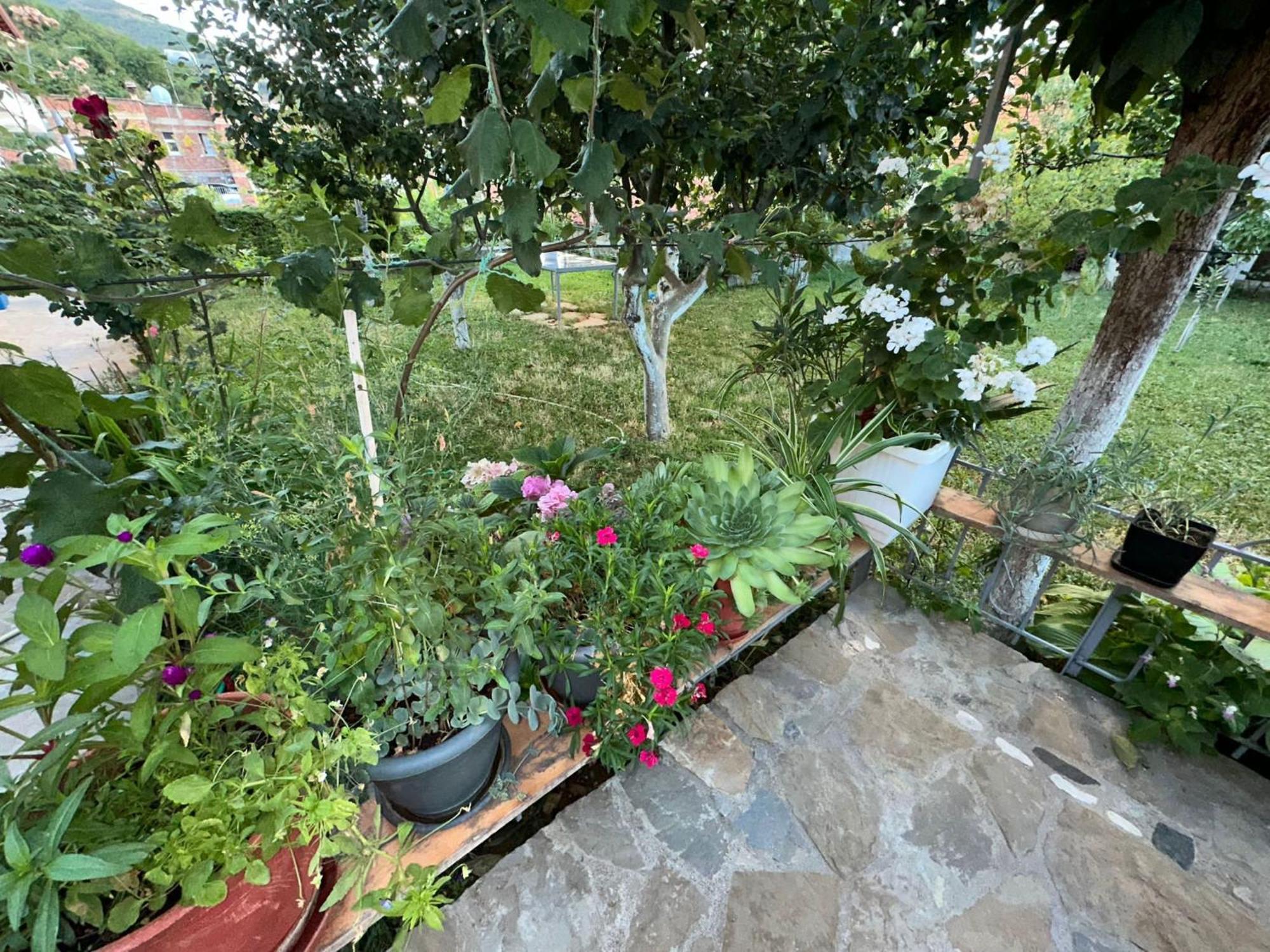 فيلا Gardenhouse Memlishte المظهر الخارجي الصورة